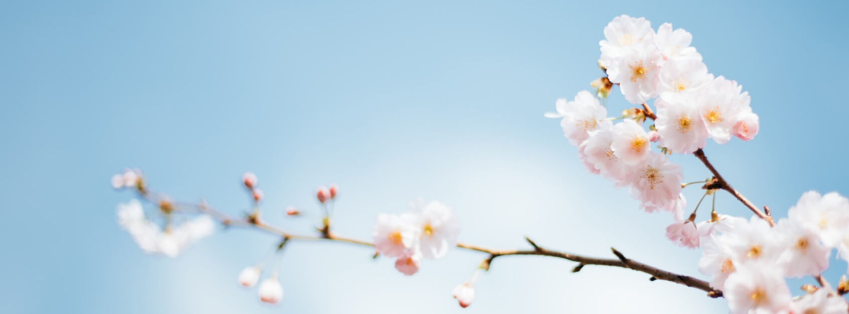 蒋振莉