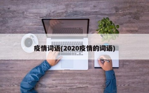 疫情词语(2020疫情的词语)