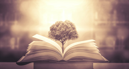 西咸新区管委会地址