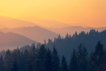 西咸新区管委会地址