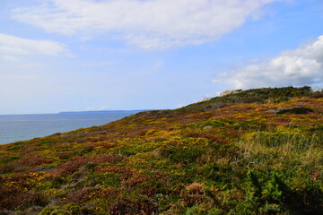 西咸新区管委会地址
