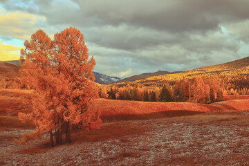 西咸新区管委会地址