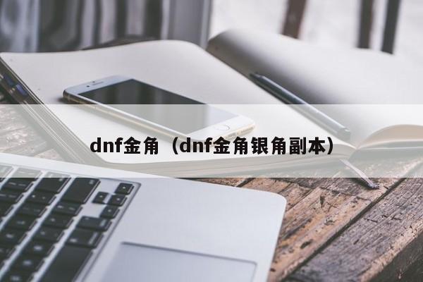 dnf金角（dnf金角银角副本）