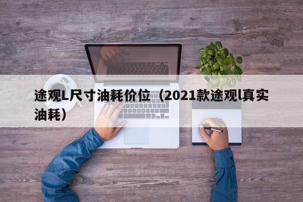 途观L尺寸油耗价位（2021款途观l真实油耗）