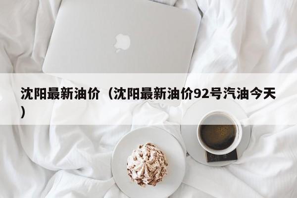 沈阳最新油价（沈阳最新油价92号汽油今天）