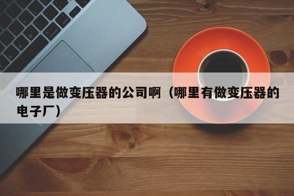 哪里是做变压器的公司啊（哪里有做变压器的电子厂）