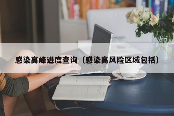 感染高峰进度查询（感染高风险区域包括）