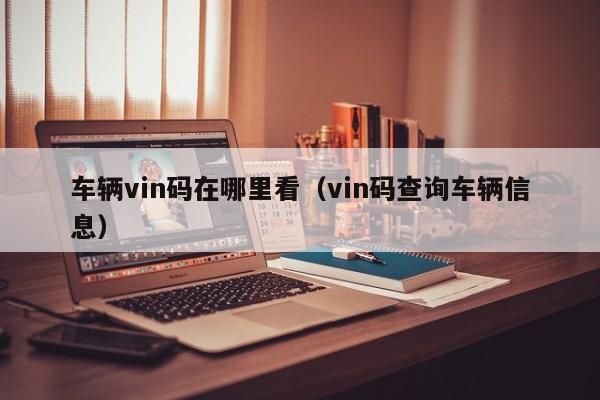 车辆vin码在哪里看（vin码查询车辆信息）