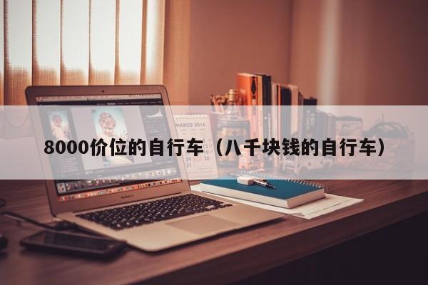 8000价位的自行车（八千块钱的自行车）