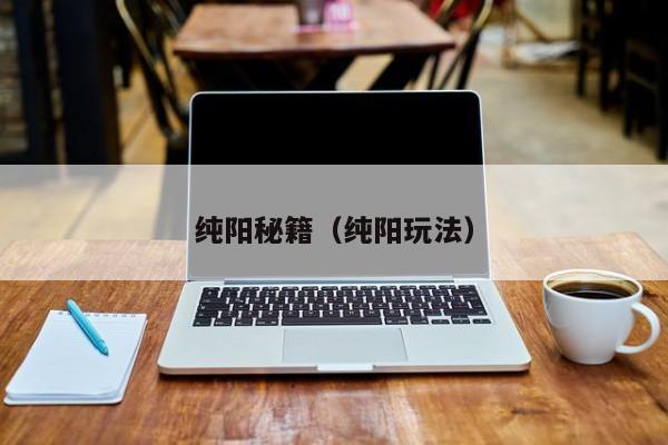 纯阳秘籍（纯阳玩法）