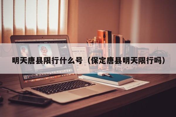 明天唐县限行什么号（保定唐县明天限行吗）