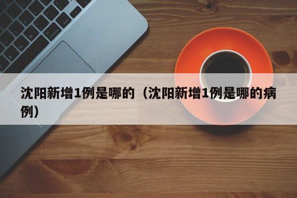 沈阳新增1例是哪的（沈阳新增1例是哪的病例）
