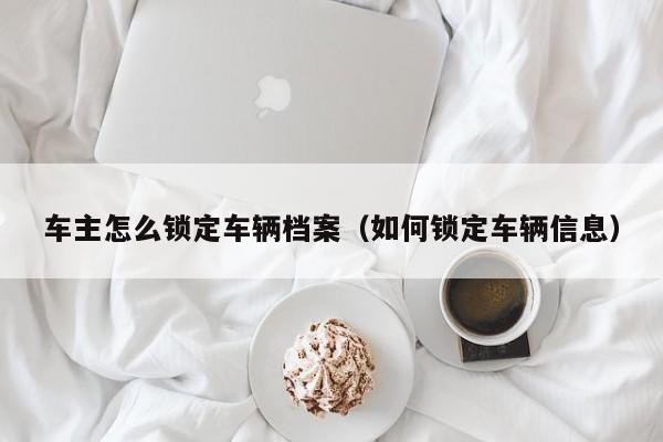 车主怎么锁定车辆档案（如何锁定车辆信息）