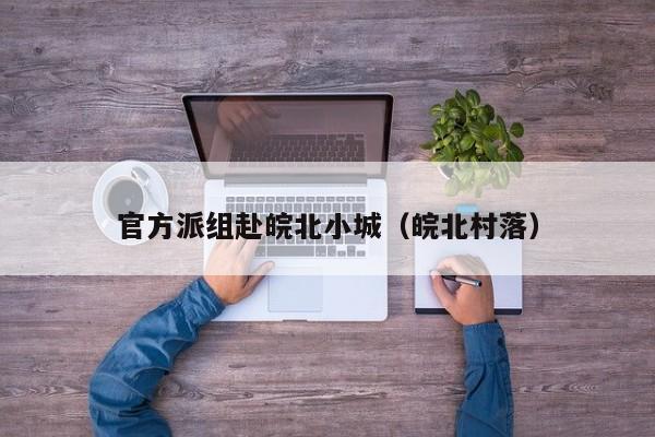 官方派组赴皖北小城（皖北村落）