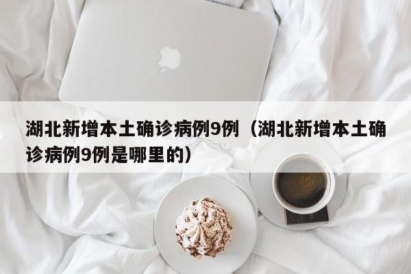 湖北新增本土确诊病例9例（湖北新增本土确诊病例9例是哪里的）
